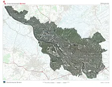 Orthophoto-Stadtplan Mosaik